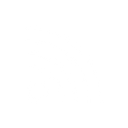 White RSS Icon