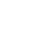 White Spotify Icon